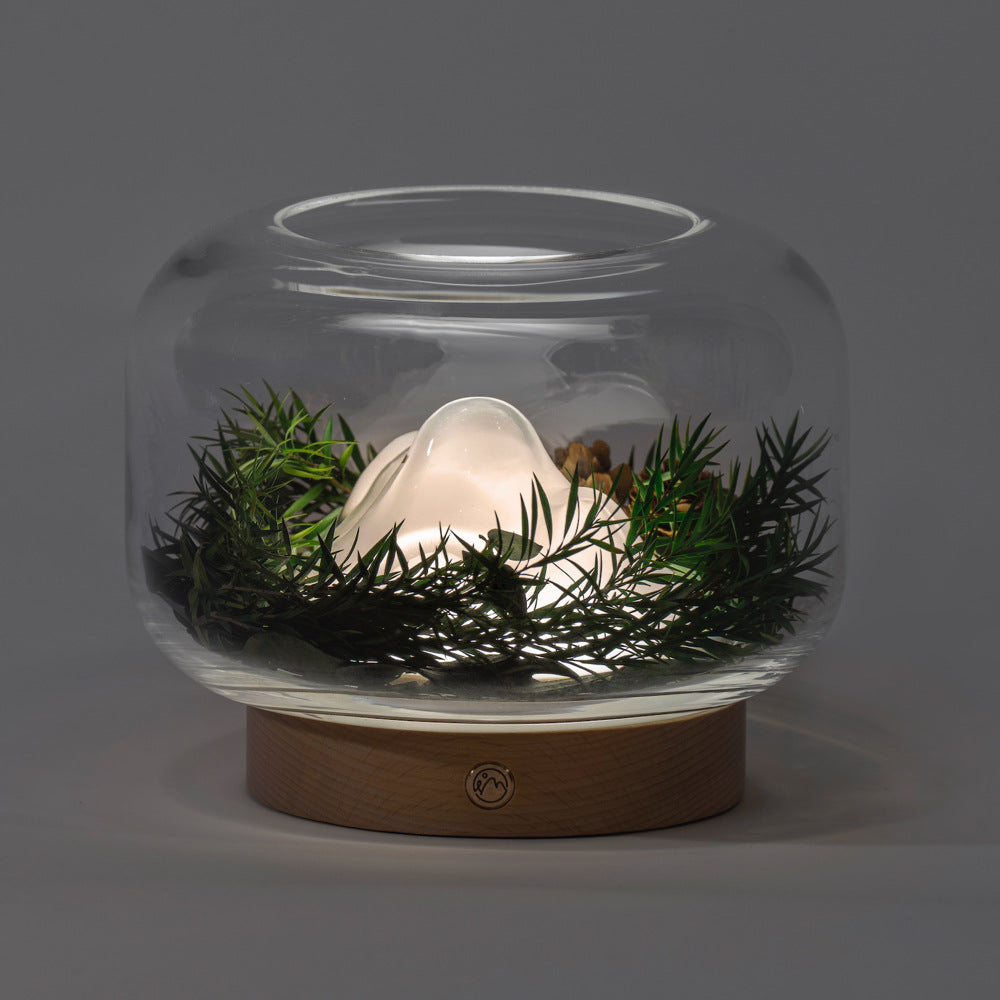 Natural plant-designed aromatherapy lamp