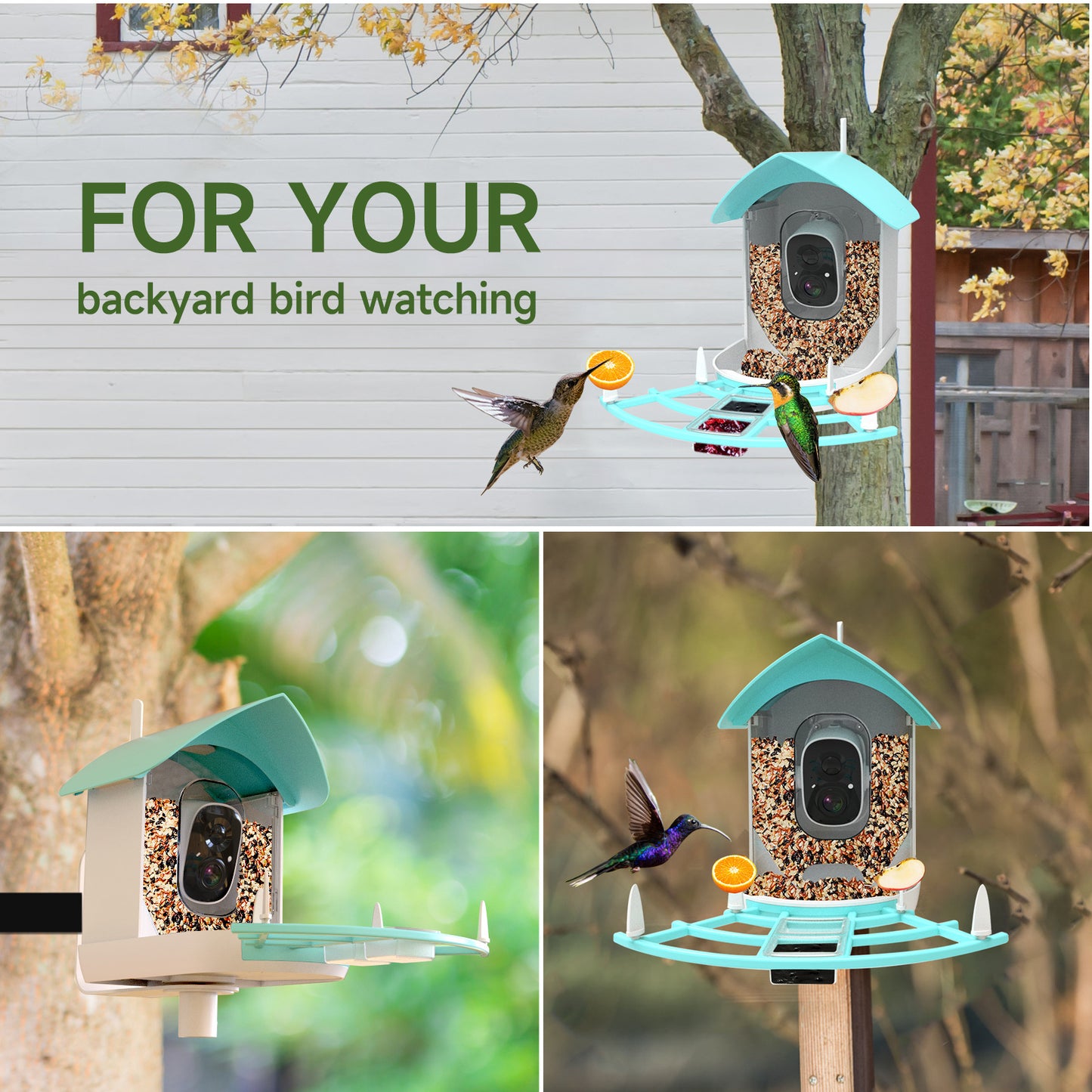 Smart Outdoor Waterproof Solar-Powered Video Bird Feeder with Bird Identification