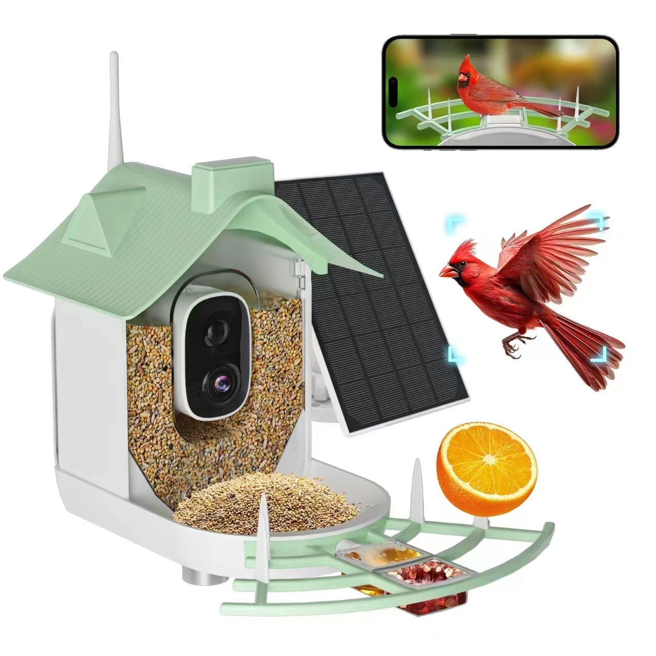 Smart Outdoor Waterproof Solar-Powered Video Bird Feeder with Bird Identification