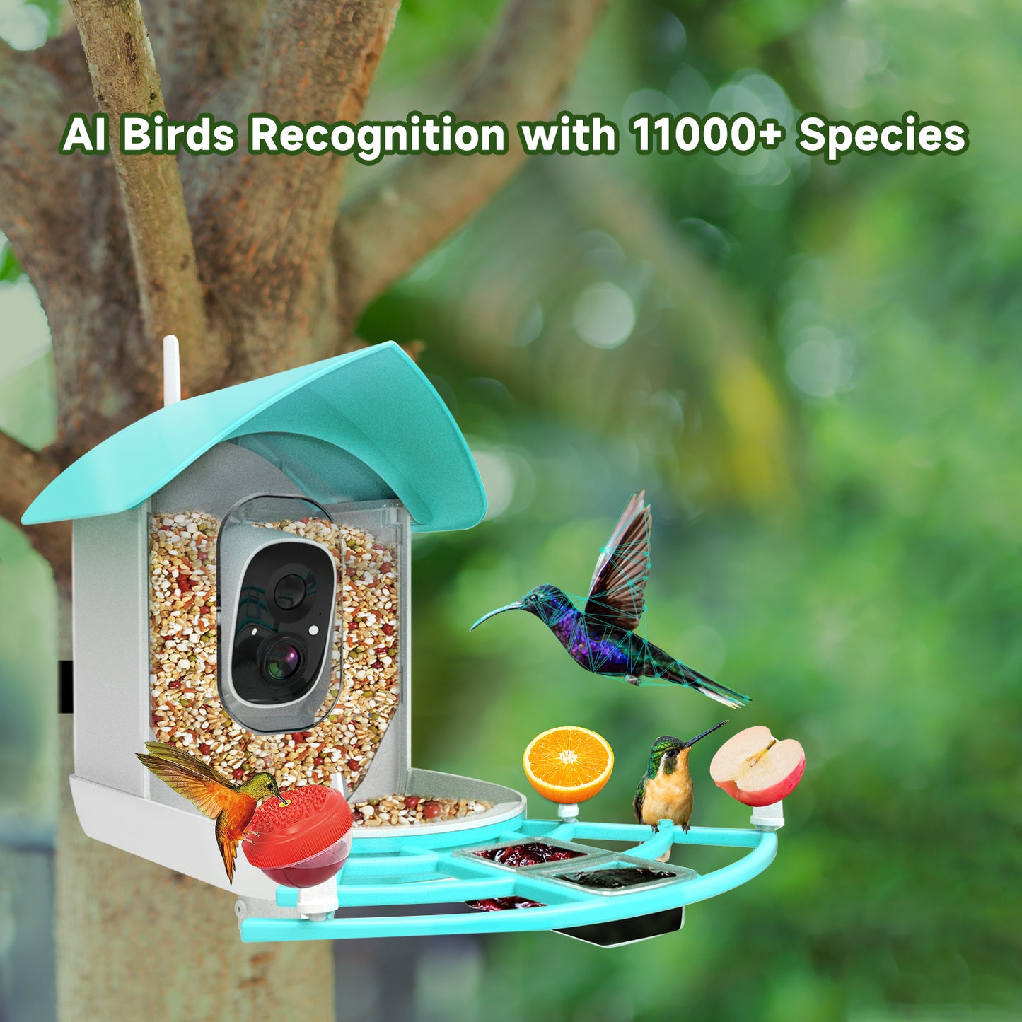 Smart Outdoor Waterproof Solar-Powered Video Bird Feeder with Bird Identification