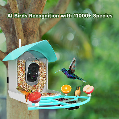 Smart Outdoor Waterproof Solar-Powered Video Bird Feeder with Bird Identification