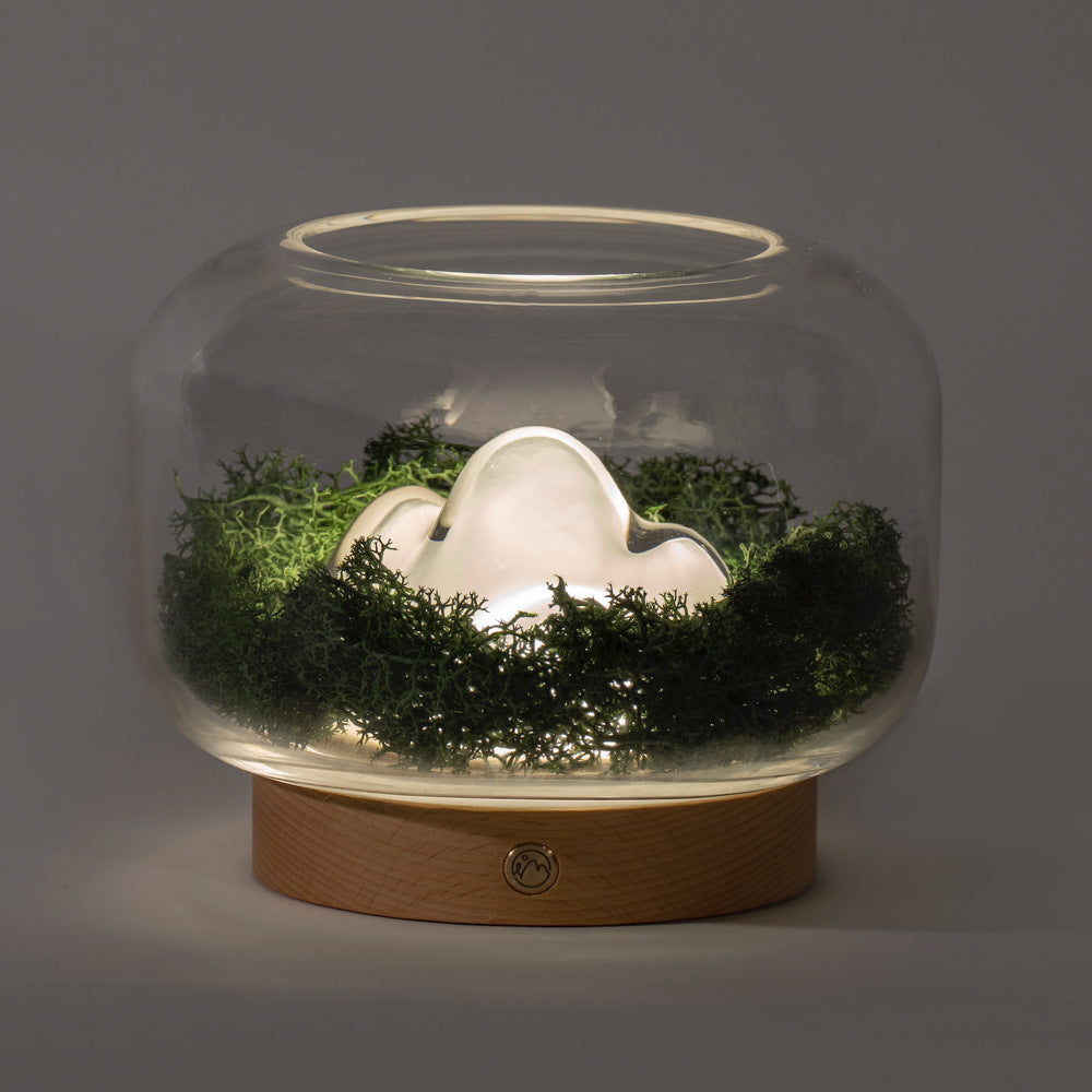 Natural plant-designed aromatherapy lamp